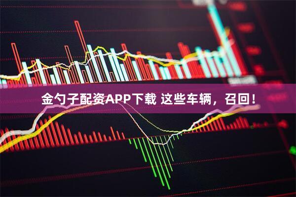 金勺子配资APP下载 这些车辆，召回！