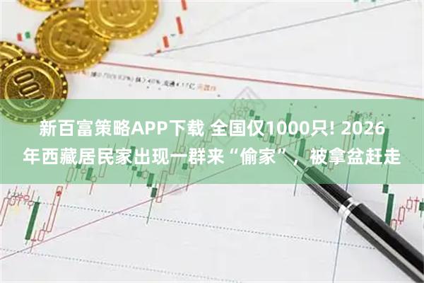 新百富策略APP下载 全国仅1000只! 2026年西藏居民家出现一群来“偷家”，被拿盆赶走